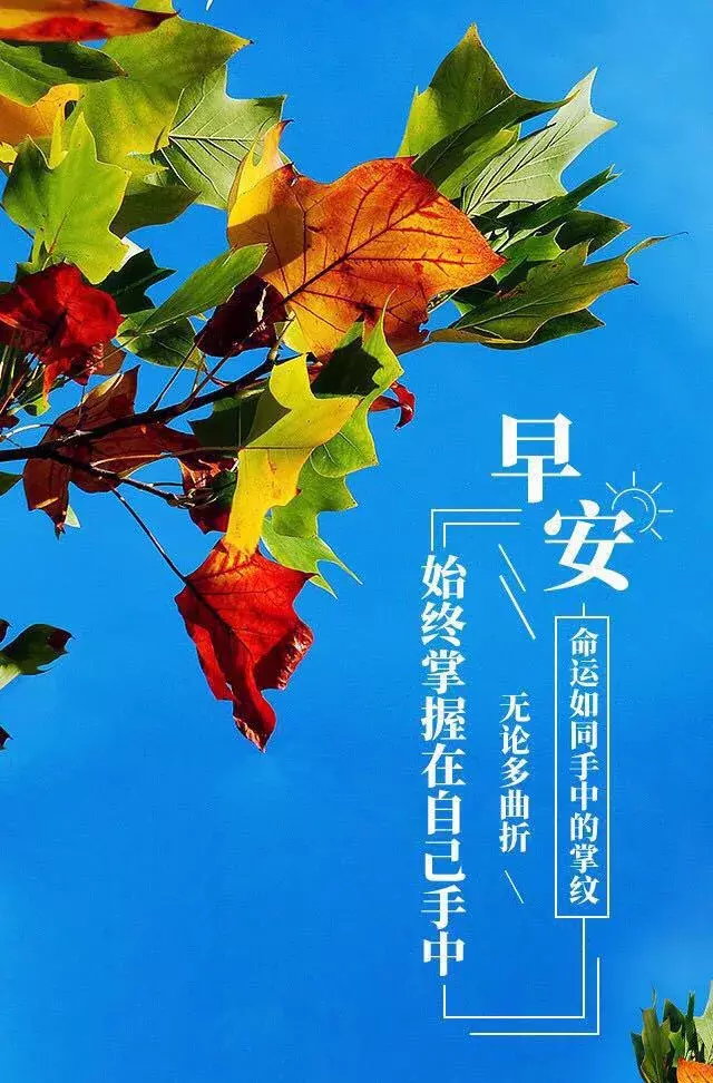 朋友圈最全最美早安图片大全 早安阳光正能量语录图片
