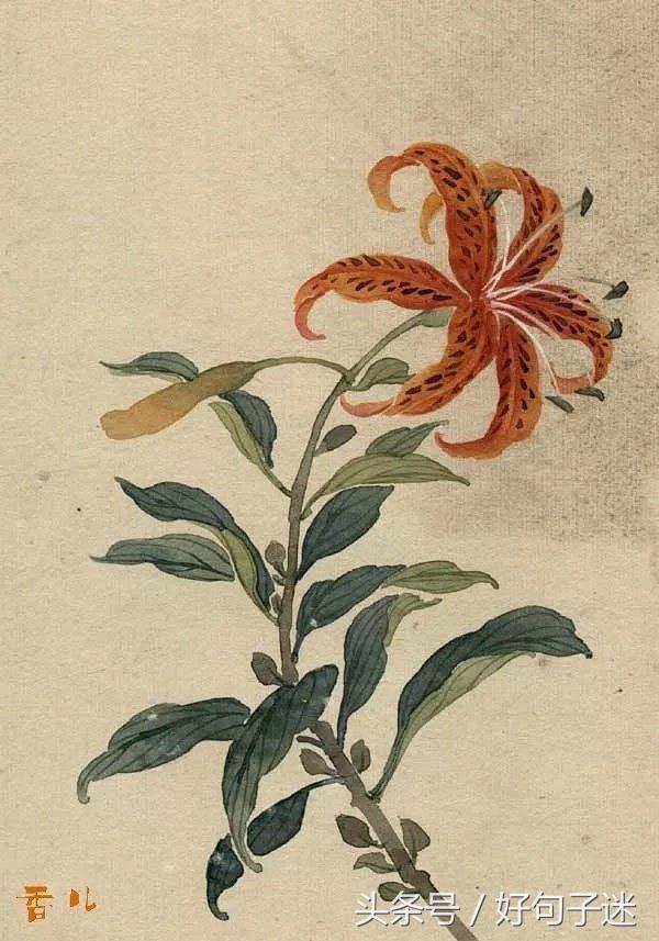 美到窒息的古风句子  你本无意穿堂风，却偏偏孤倨引山洪图片