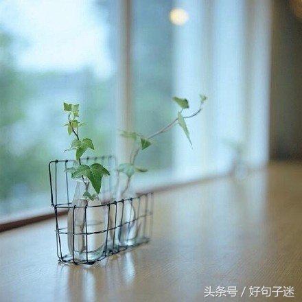 愉快的心情发朋友圈 淡淡的心情唯美句子图片