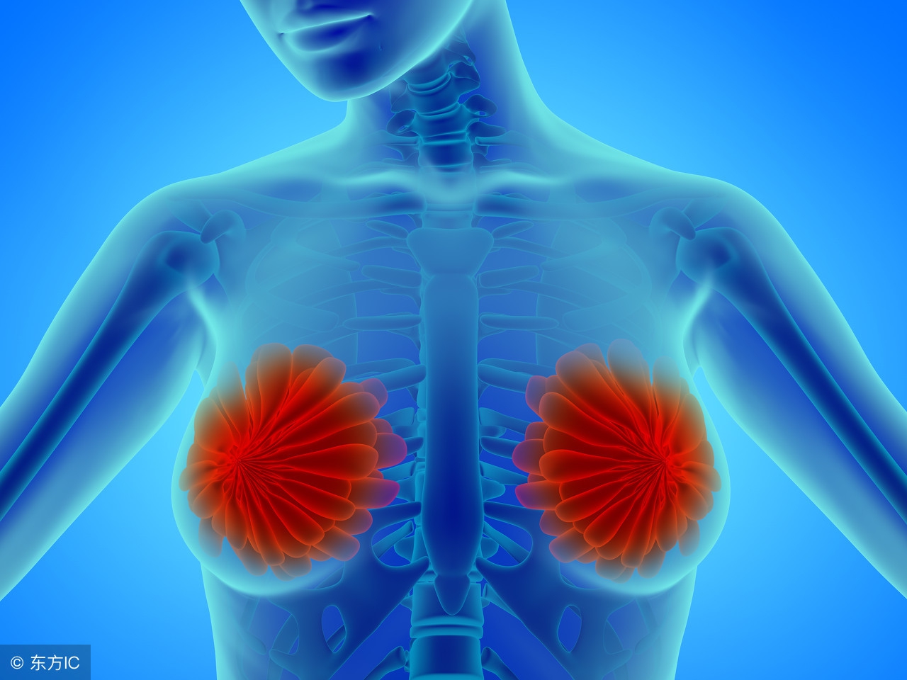 胸部疼有硬块的原因是什么？如何缓解胸部胀痛？