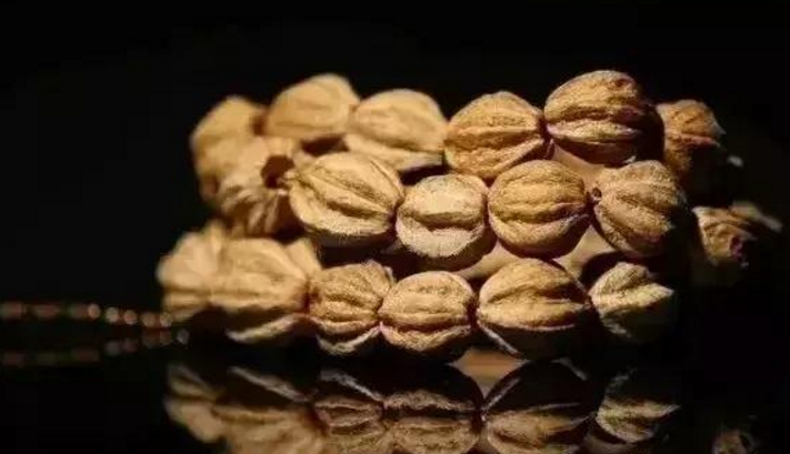 九種最常見的菩提子手串，你見過哪些？