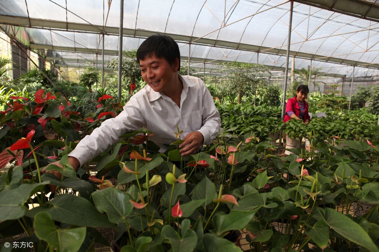 The country blames a phenomenon: "Man staying behind " reason of grow in quantity of year after year cannot leave this at 4 o'clock! 