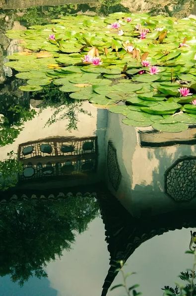 三伏天，在诗词里消暑纳凉！-第1张图片-非凡网