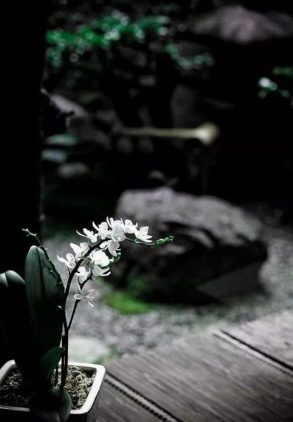 三伏天，在诗词里消暑纳凉！-第28张图片-非凡网