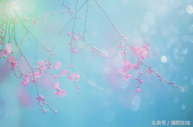 中国最美的十首现代诗，美醉了
