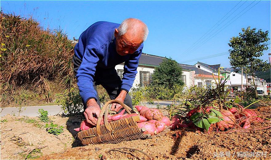 What the country stays behind is old male, increasing, is this why? 