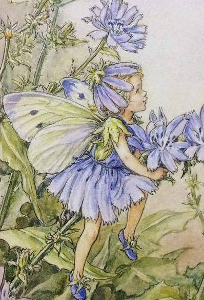 十二星座专属精灵花仙子,天蝎座酷酷的外表,狮子座很温柔