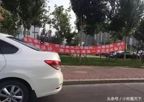 这些在澳洲当“公关”的华人女孩，在演双面角色？背后的秘密真脏