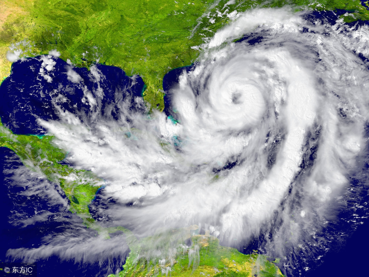 职场不是你妈台风安比带来的思考