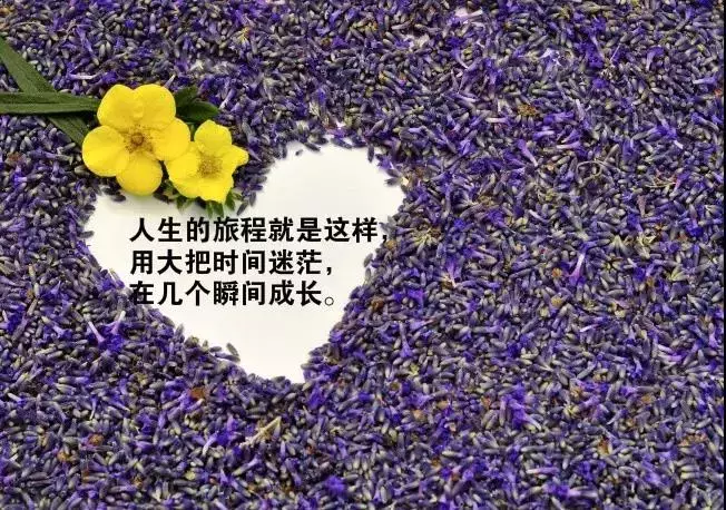 微信朋友圈感悟人生的精辟句子配图图片　时间留给我们不多了，大家随遇而安