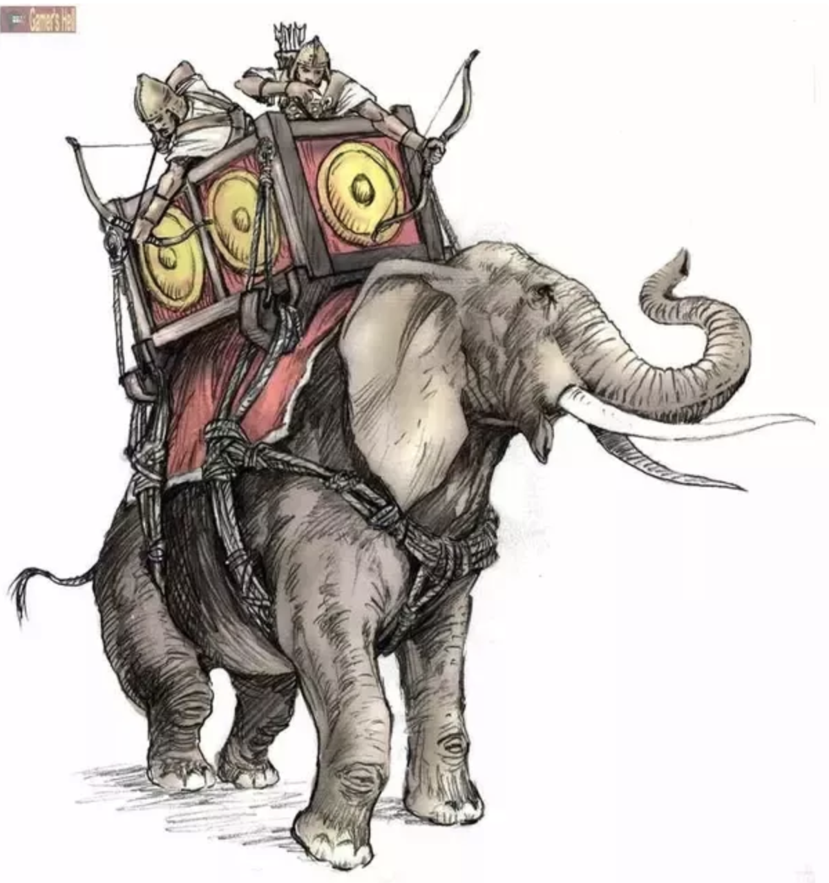 盘点5件军事奇葩事：第四个让人伤感，第五个很意外-第2张图片-大千世界