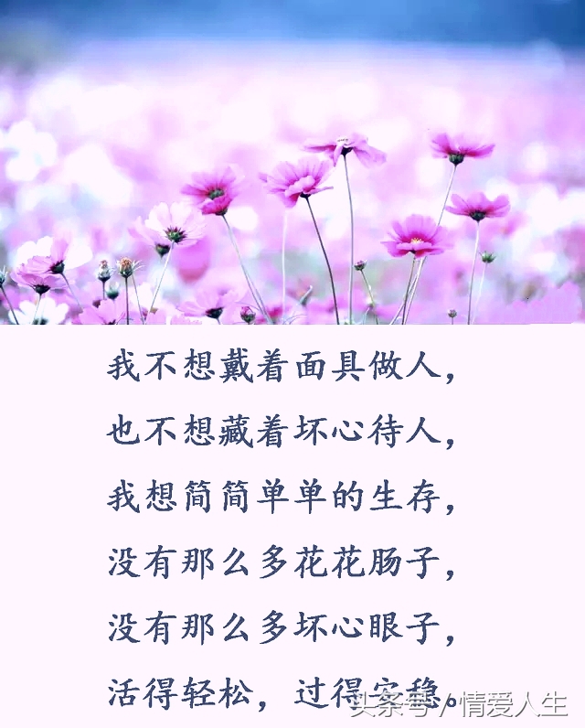 请不要拿我当傻子！图片