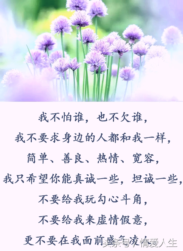 請不要拿我當傻子