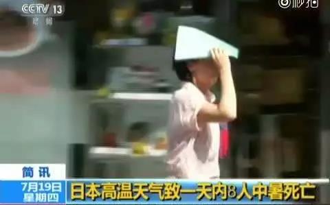 哭了！北极圈罕见32℃高温，北极熊或在40年内迎来灭绝