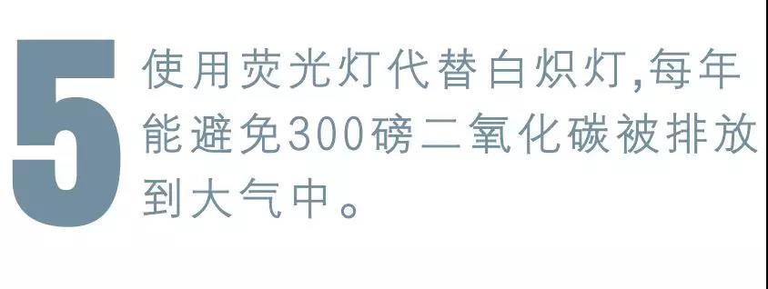 哭了！北极圈罕见32℃高温，北极熊或在40年内迎来灭绝
