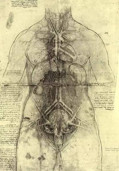 达芬奇开挂的一生都干了什么