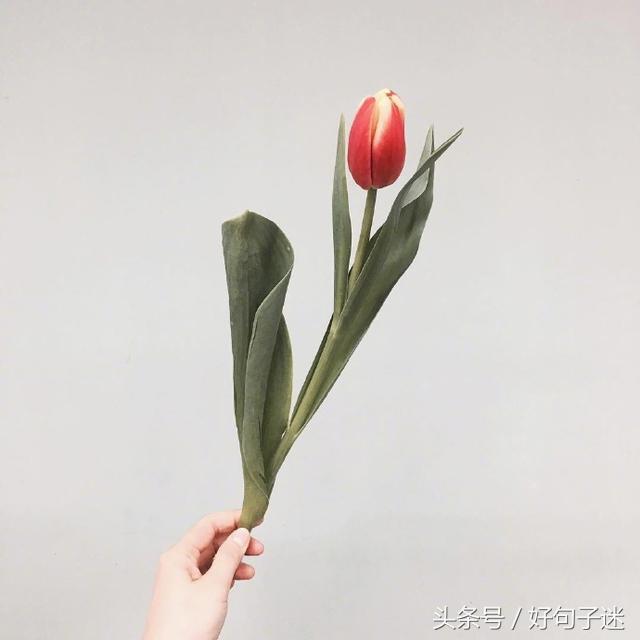 适合表达心情的说说 自己的说说怎么发朋友圈图片