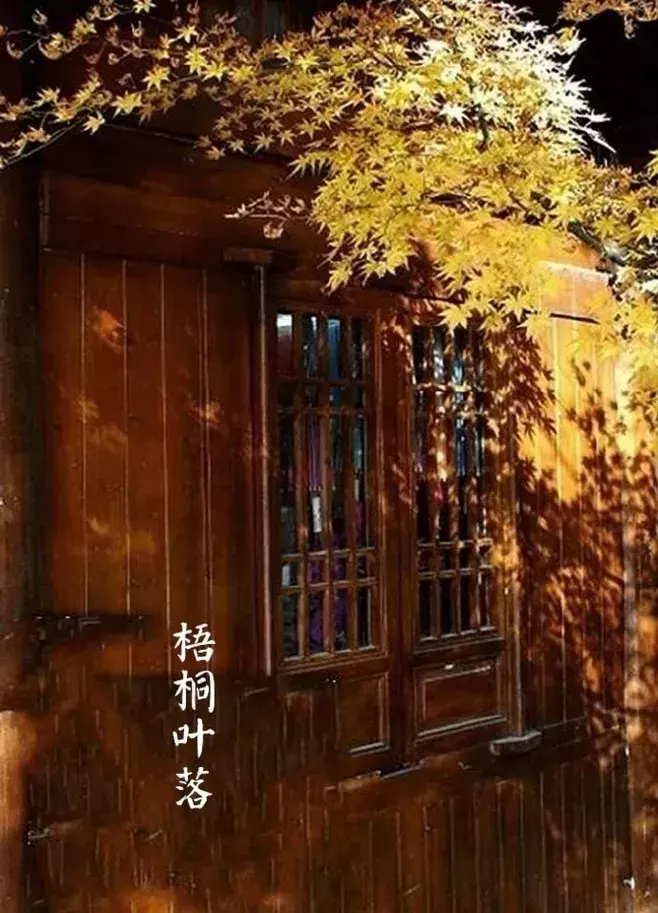 立秋:暑去凉来,一叶知秋!-第10张图片-非凡网 立秋:暑去凉来,一叶知秋!-第10张图片-非凡网