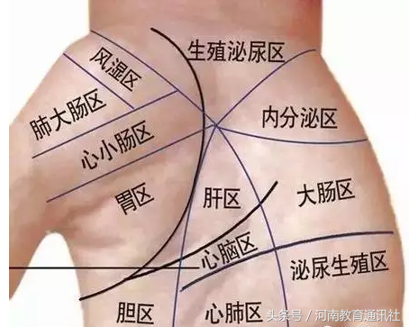 手纹看相科学吗？那些手能告诉我们的信息