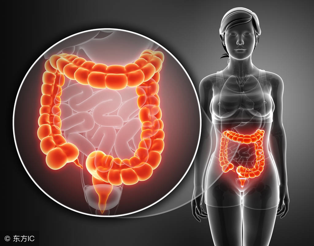 肠炎的症状有哪些？如何预防肠炎？