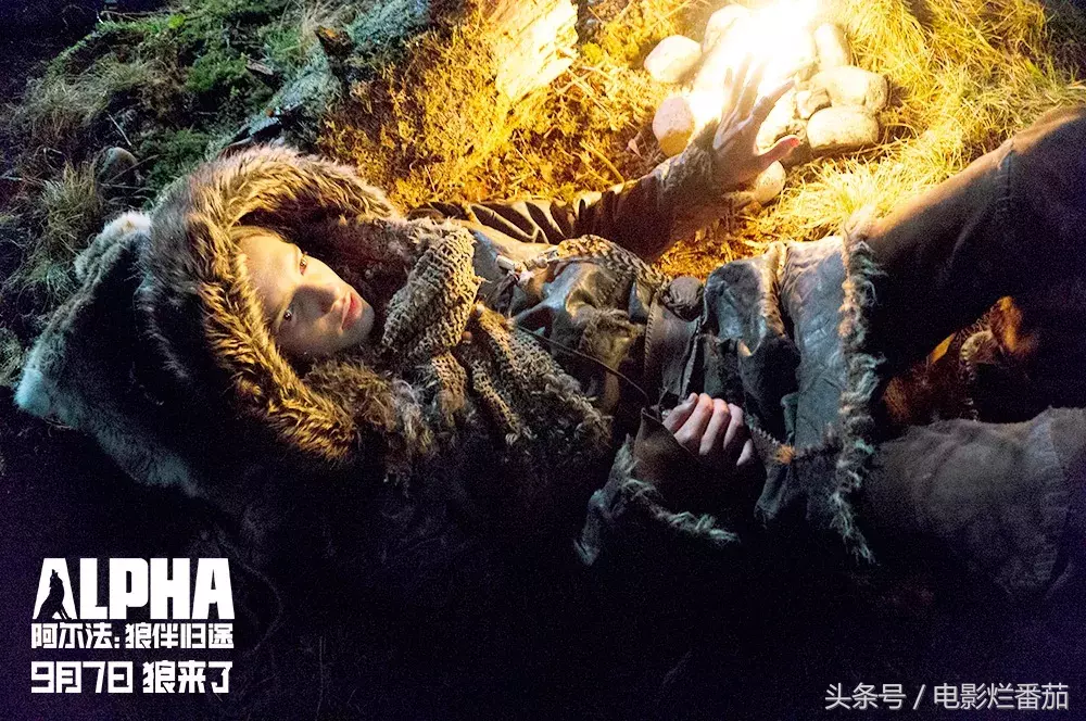 这部电影告诉你,世界上第一条狗是怎么诞生的?