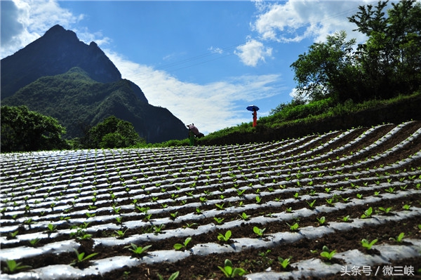 抓住夏天的尾巴，来一次宜昌乡村风味的野游令人身心舒畅