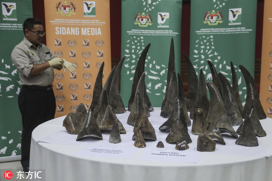 非洲犀牛角(马来西亚当局查获50件非洲犀牛角)