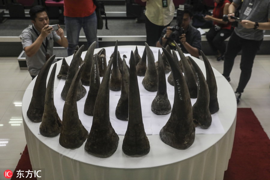 非洲犀牛角(马来西亚当局查获50件非洲犀牛角)