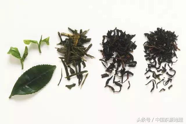 记住7个泡茶步骤，快速进阶泡茶高手