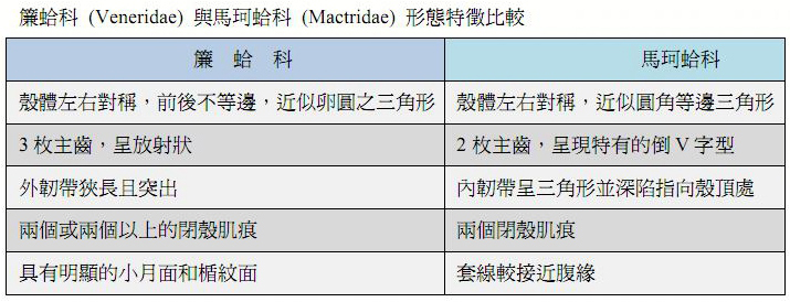 海鮮各種貝類，文蛤、牡蠣、竹蟶、毛蚶……你都了解了嗎