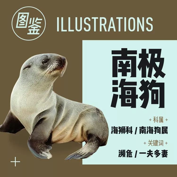 拼多多上的爆款春药用啥做的，卖得这么好？