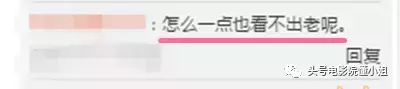 55岁甄子丹新片还这么能打!这部电影里他有好几位“秘密武器”