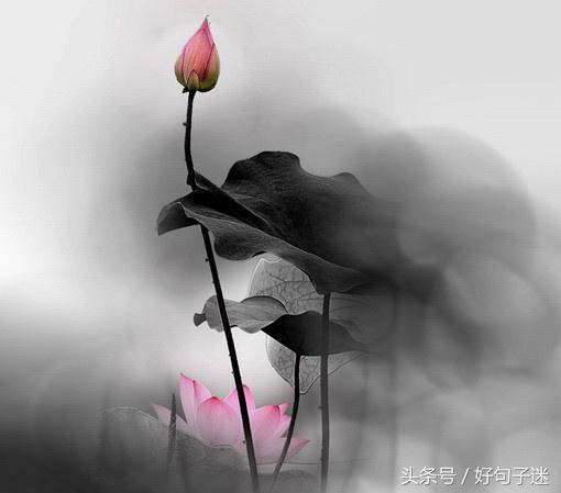 超精致的唯美句子 送给自己唯美的一句话图片