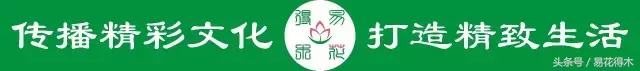 昙花一年可以开6次花,靠不靠谱?