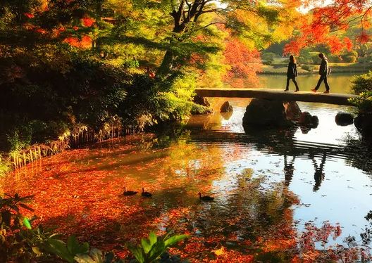 在诗词里品读色彩缤纷的秋天-第9张图片-诗句网