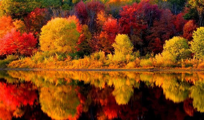 在诗词里品读色彩缤纷的秋天-第21张图片-诗句网