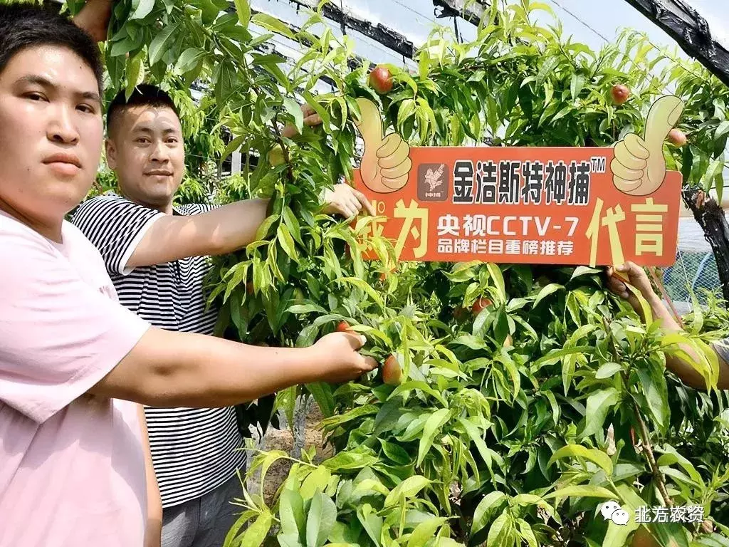 金浩斯特登上《中国农业品牌》啦，见识一下真正的生态级复合肥