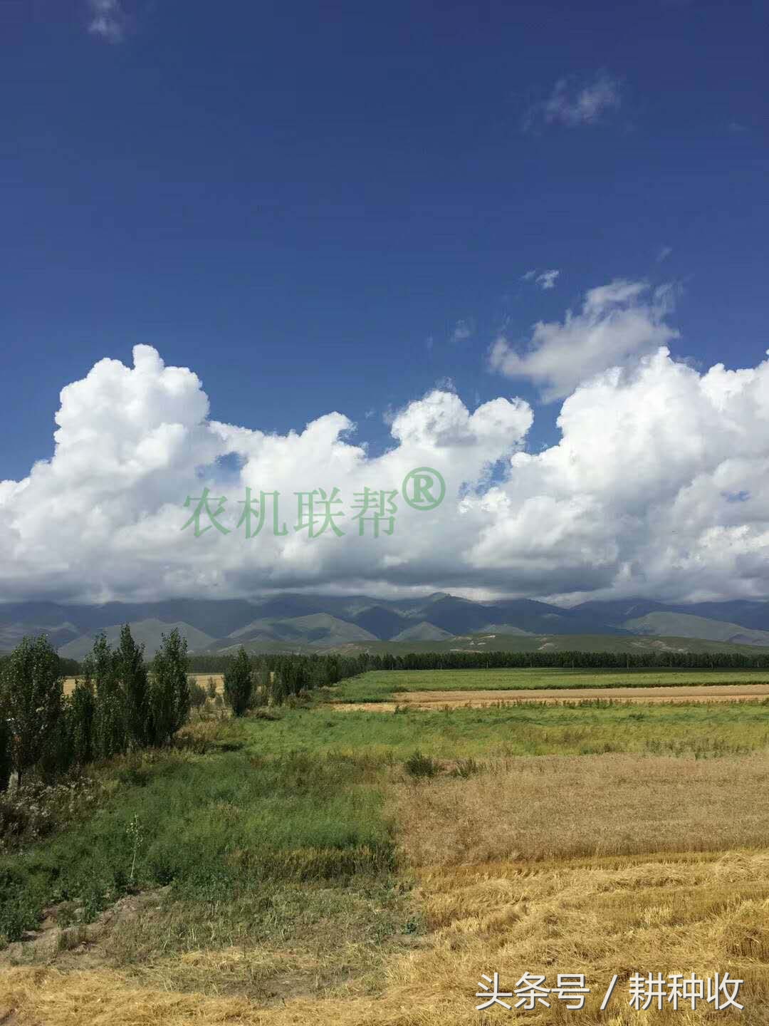 實(shí)拍我國(guó)西部地區(qū)引進(jìn)的世界級(jí)農(nóng)業(yè)機(jī)械，開(kāi)眼界了