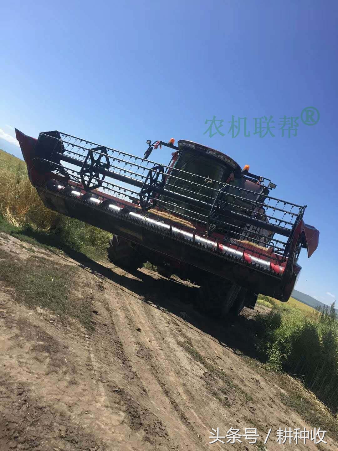 實(shí)拍我國(guó)西部地區(qū)引進(jìn)的世界級(jí)農(nóng)業(yè)機(jī)械，開(kāi)眼界了