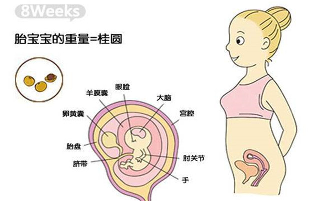 怀孕2个月胎儿有多大，怀孕两个月的症状和注意事项