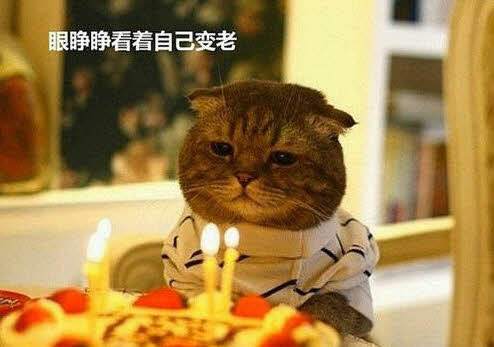 过生日的祝福语怎么说 生日贺词幽默图片
