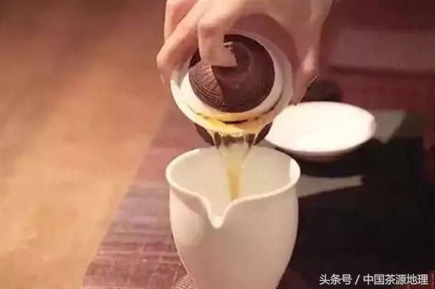 一篇真正的茶知识