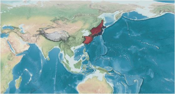 沿海旅行知識1，關(guān)于各種貝類的名字、區(qū)別、產(chǎn)地、吃法（下）