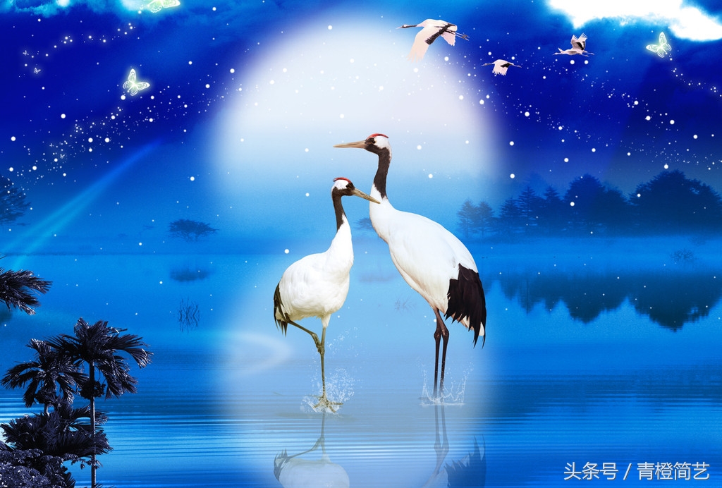 鹤经常出现在家居装饰画中,它有什么寓意