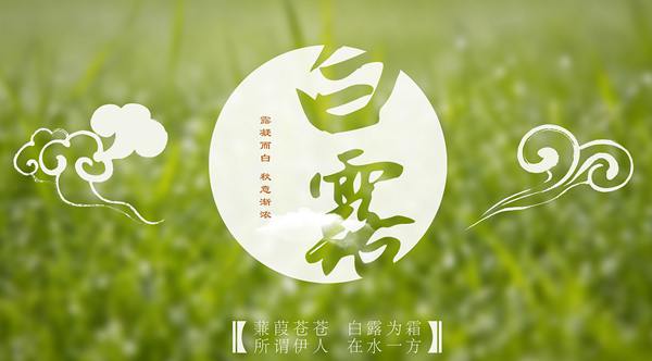 「我们的节气」白露：露从今夜白