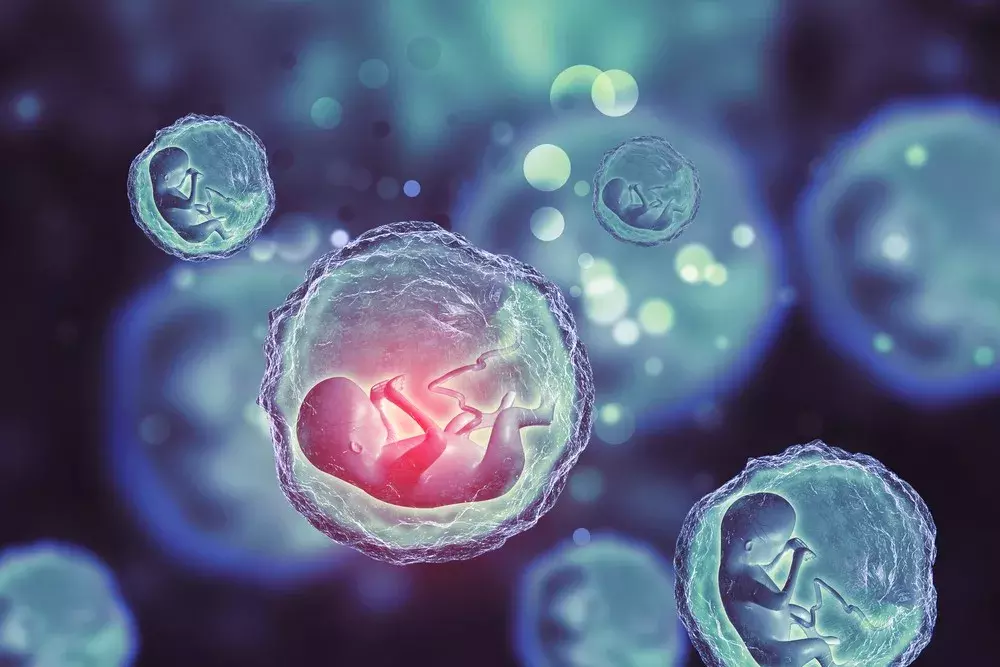 什么是干细胞关于干细胞，你应该知道什么