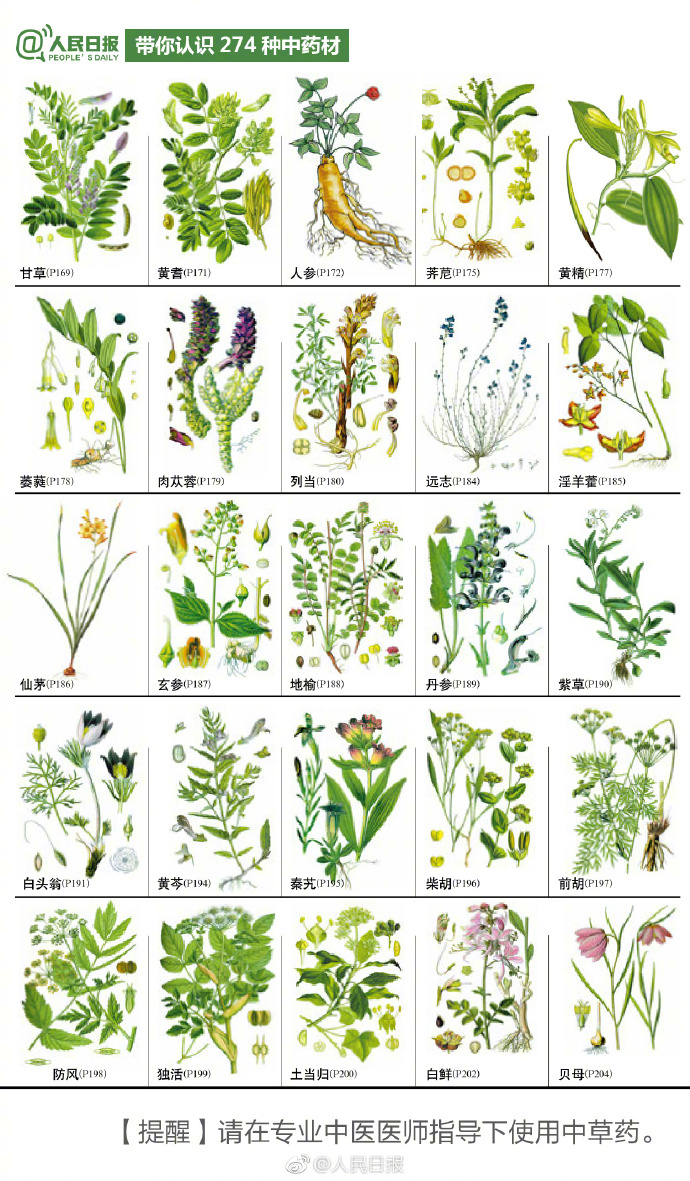 274种中草药材，你认识几个？-第1张图片-农百科