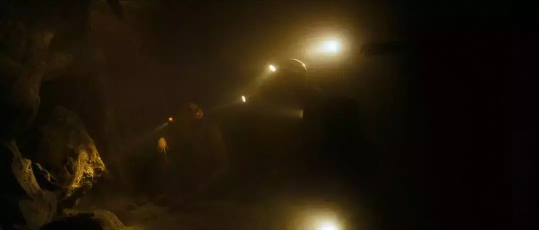 女人心海底针,人性在鲜血淋漓间更加赤裸