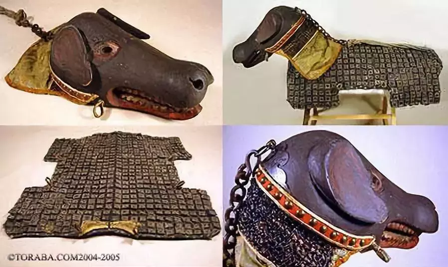 狗在古代战场上都有什么作用?电影《狼伴归途》没告诉你的那些事