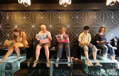 火遍全泰的這種“小魚(yú)啃腳Spa”，你可知有多大健康風(fēng)險(xiǎn)？